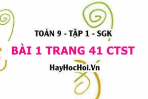 Bài 1 trang 41 Toán 9 tập 1 Chân trời sáng tạo
